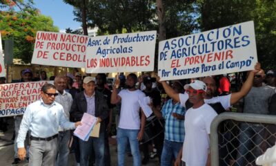 Productores de cebolla claman por pago de RD$ 205 millones